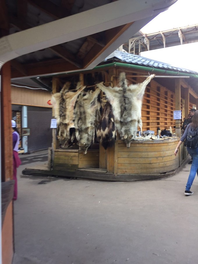 俄罗斯购物注意事项,俄罗斯打折购物攻略