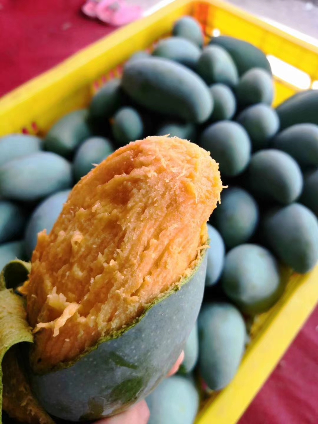 百色金黄芒果,芒果飘香百色