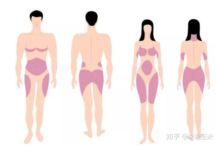 假胯宽、大象腿、脂肪腿，天生大粗腿的人该如何瘦大腿？