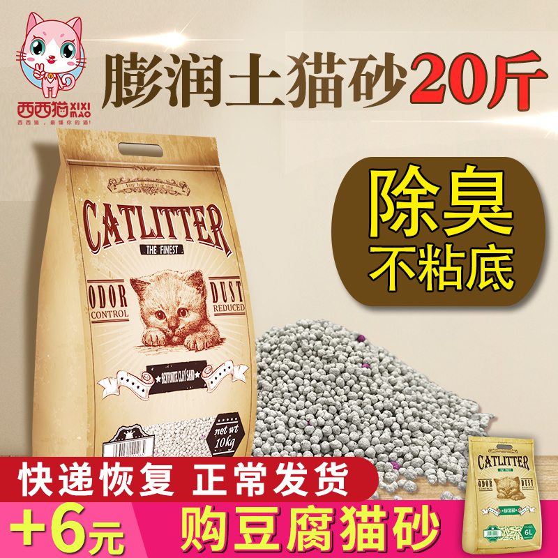 2020年2月好物分享,2021年好货推荐