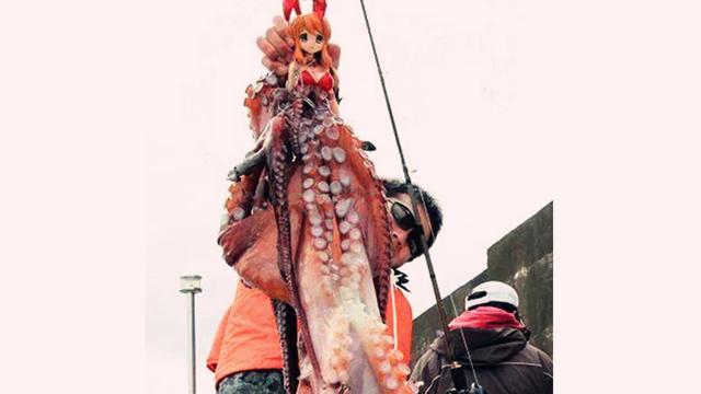 动漫章鱼二次元,女孩被钓起来的章鱼二次元动漫