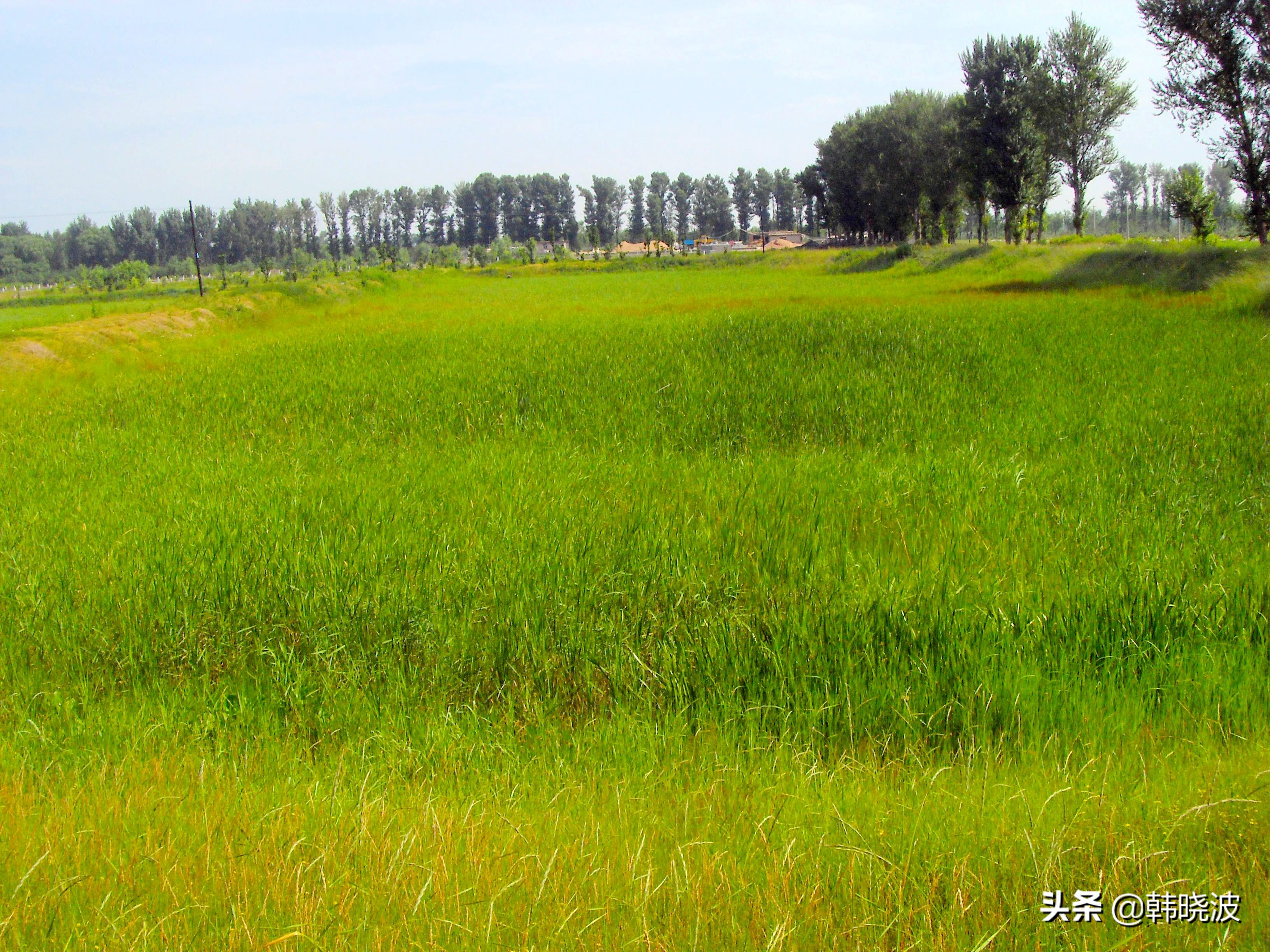 我班的同学们,小学生我的同学