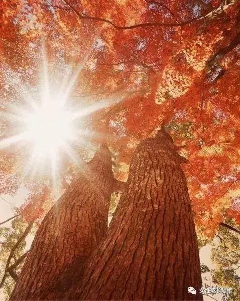 思维教练|自从我妈退休以后，很害怕和她相处，怎么办？