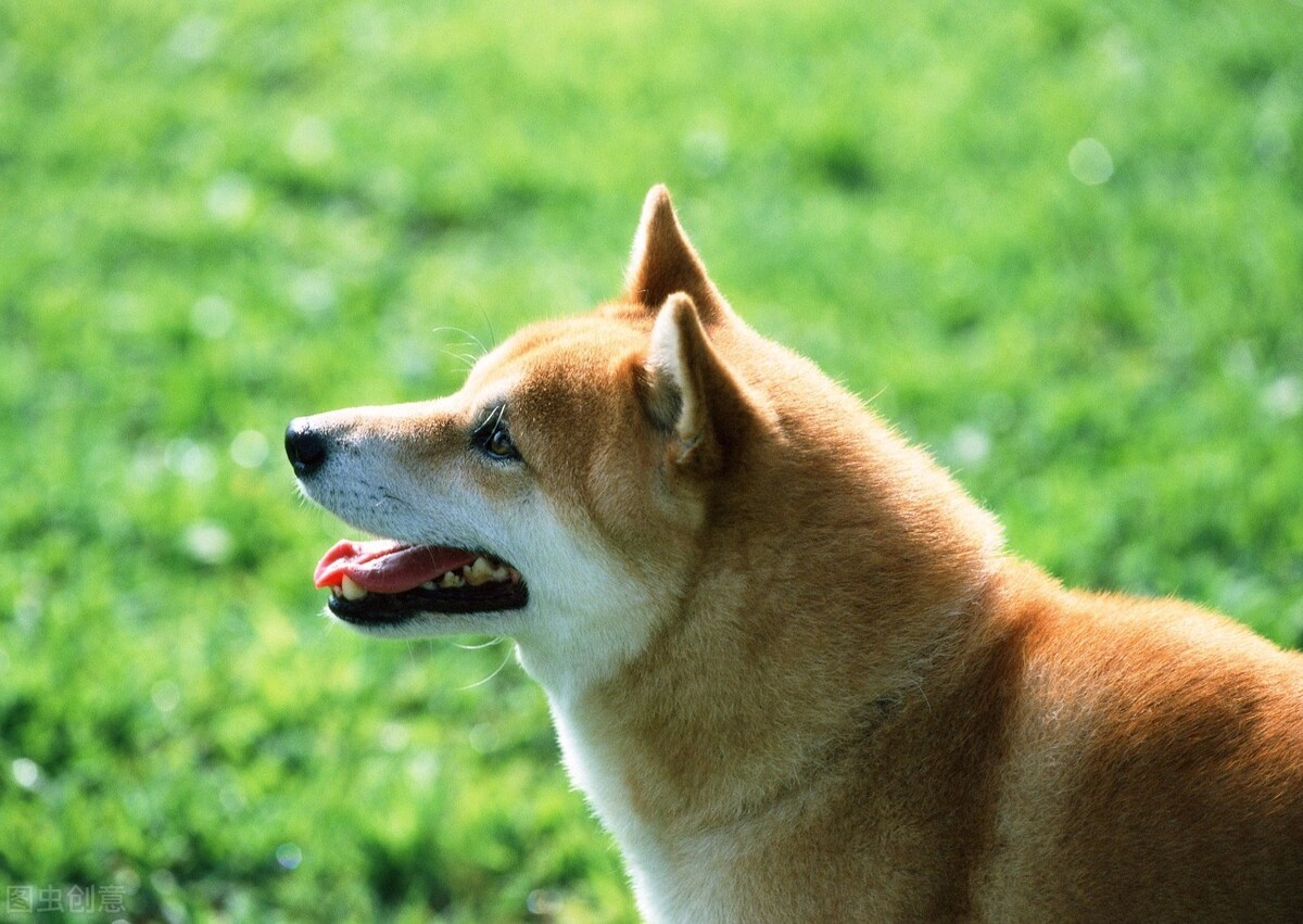 皮肤瘙痒症与因果有关吗,皮肤瘙痒诱发的原因是什么