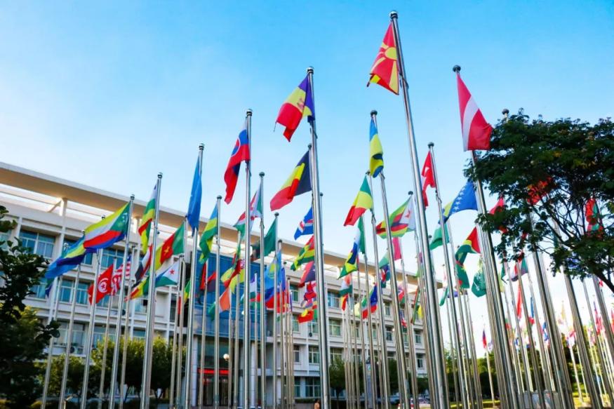 宿管阿姨一口流利的英语,48岁宿管阿姨飚英语燃爆全网