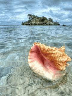 法国十大最美海滩排名,法国最好玩的海滩