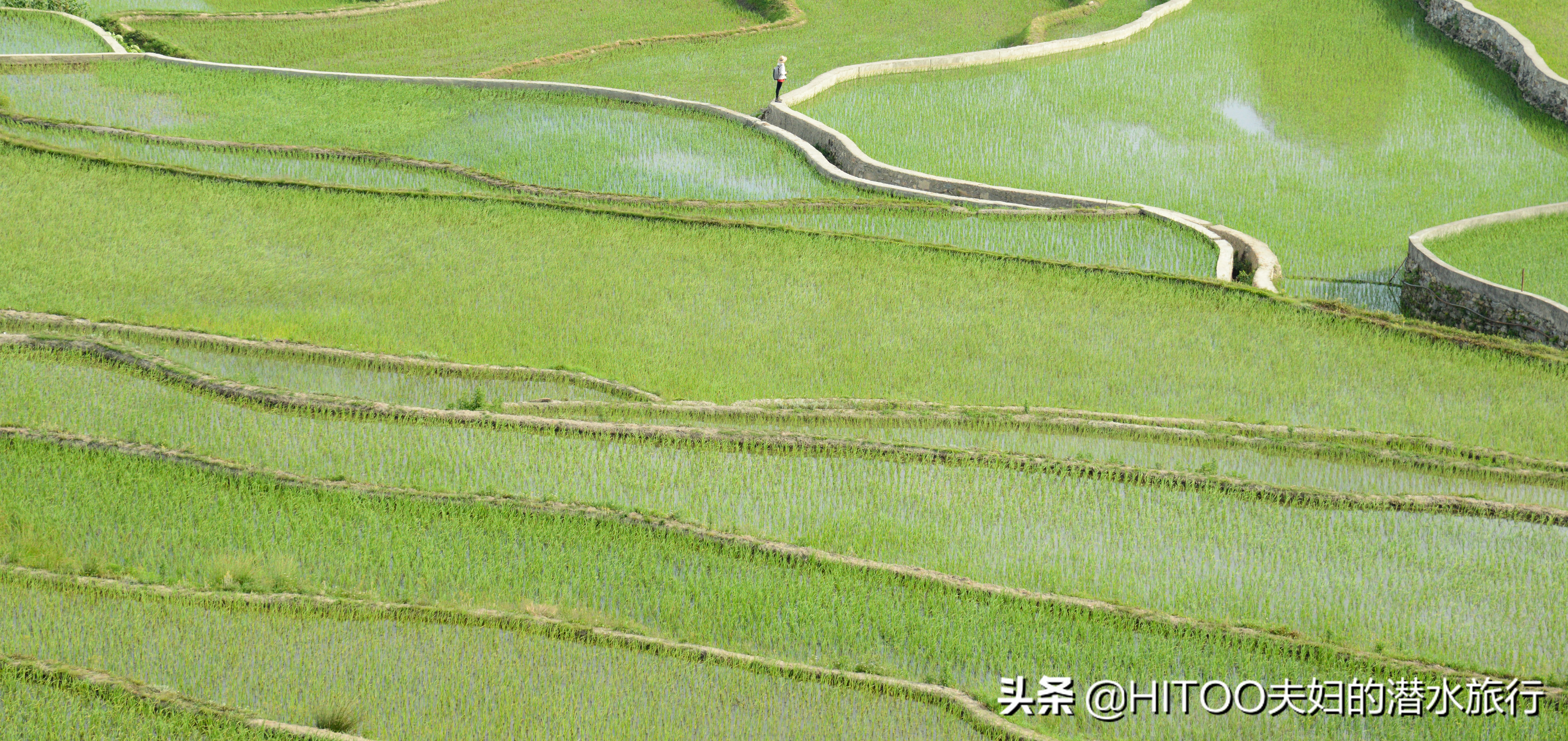 自驾元阳梯田旅游攻略时间,元阳梯田自驾游玩攻略路线