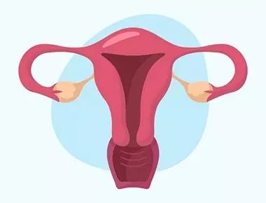 移植囊胚7天hcg12.5成功经历,谨慎移植的囊胚有移植成功的吗