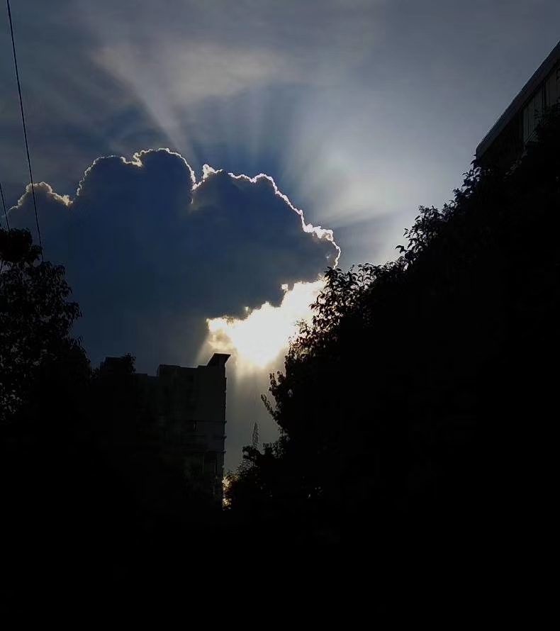 2019犯凶星的属相,2019年犯凶星的属相