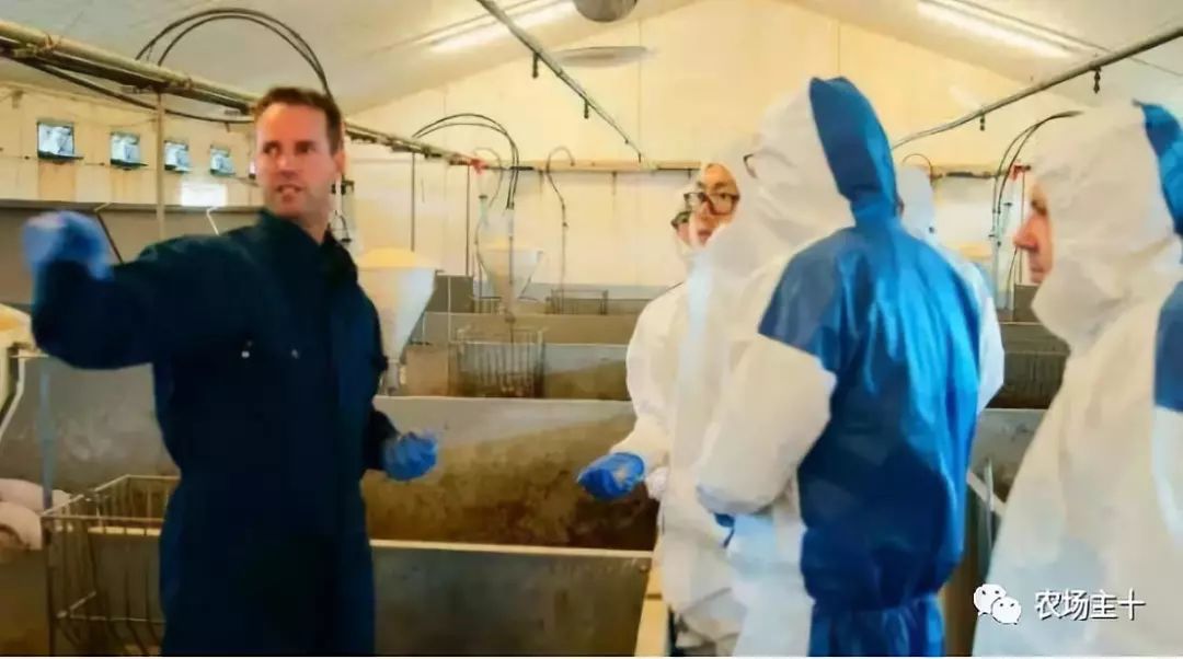 养猪场市场容量或变化趋势有哪些,养猪场的市场前景