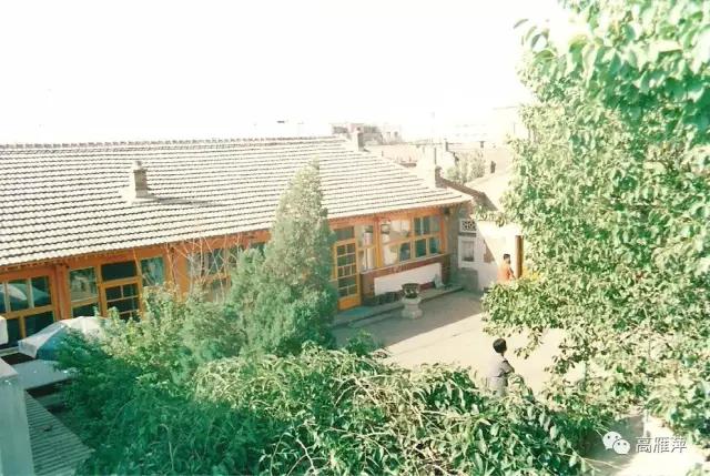 自然写作素材,草木恩典主题思想