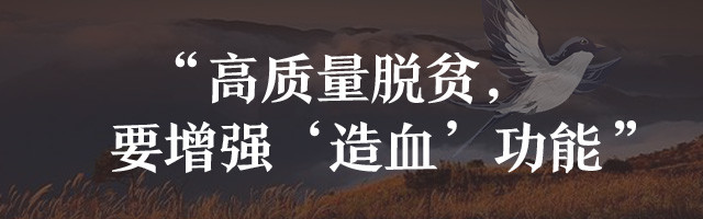 待到山花烂漫——追记“最美扶贫书记”黄诗燕