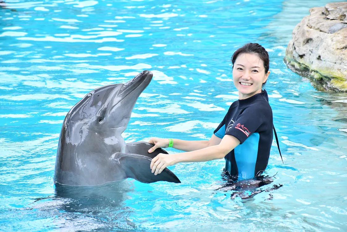 新加坡经典一日游,新加坡一日游必去景点