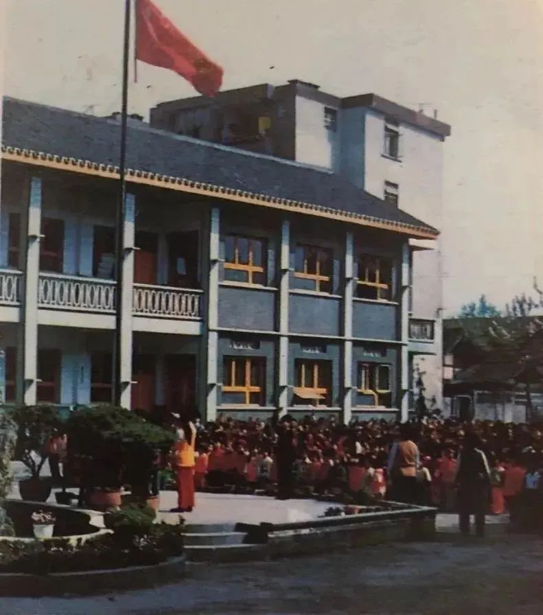 郫县豆瓣酱黑豆瓣,郫县黑豆瓣