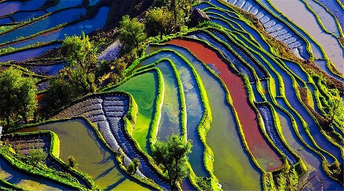 良心推荐|1月高性价比出行,附出行指南和必游景点