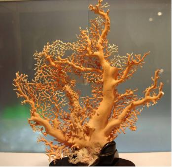 中国最出名的珠宝在哪里,盛产珠宝的地区有哪些地方