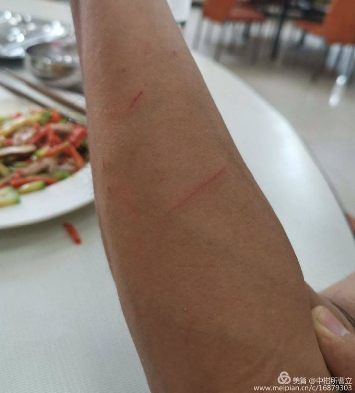 无核柑橘有哪些品种,柑橘目前最新品种有哪些