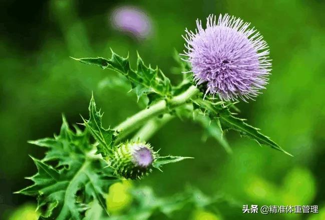 在野外不小心划伤了流血怎么办,野外不小心划破伤口