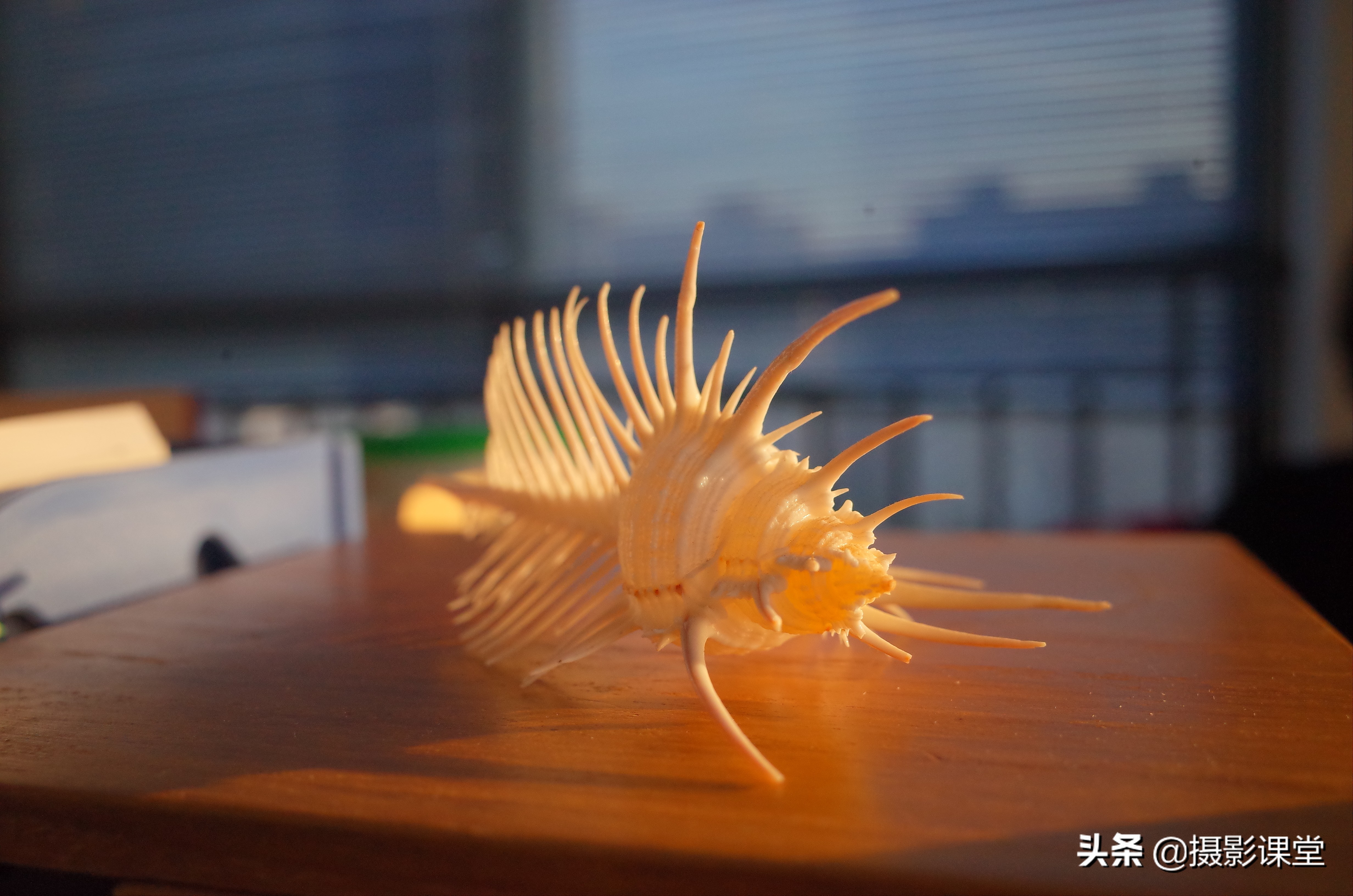 理光gr2相机推荐,理光gr2风景评测