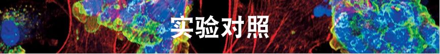 免疫荧光技术的优缺点,免疫荧光一抗二抗稀释比例