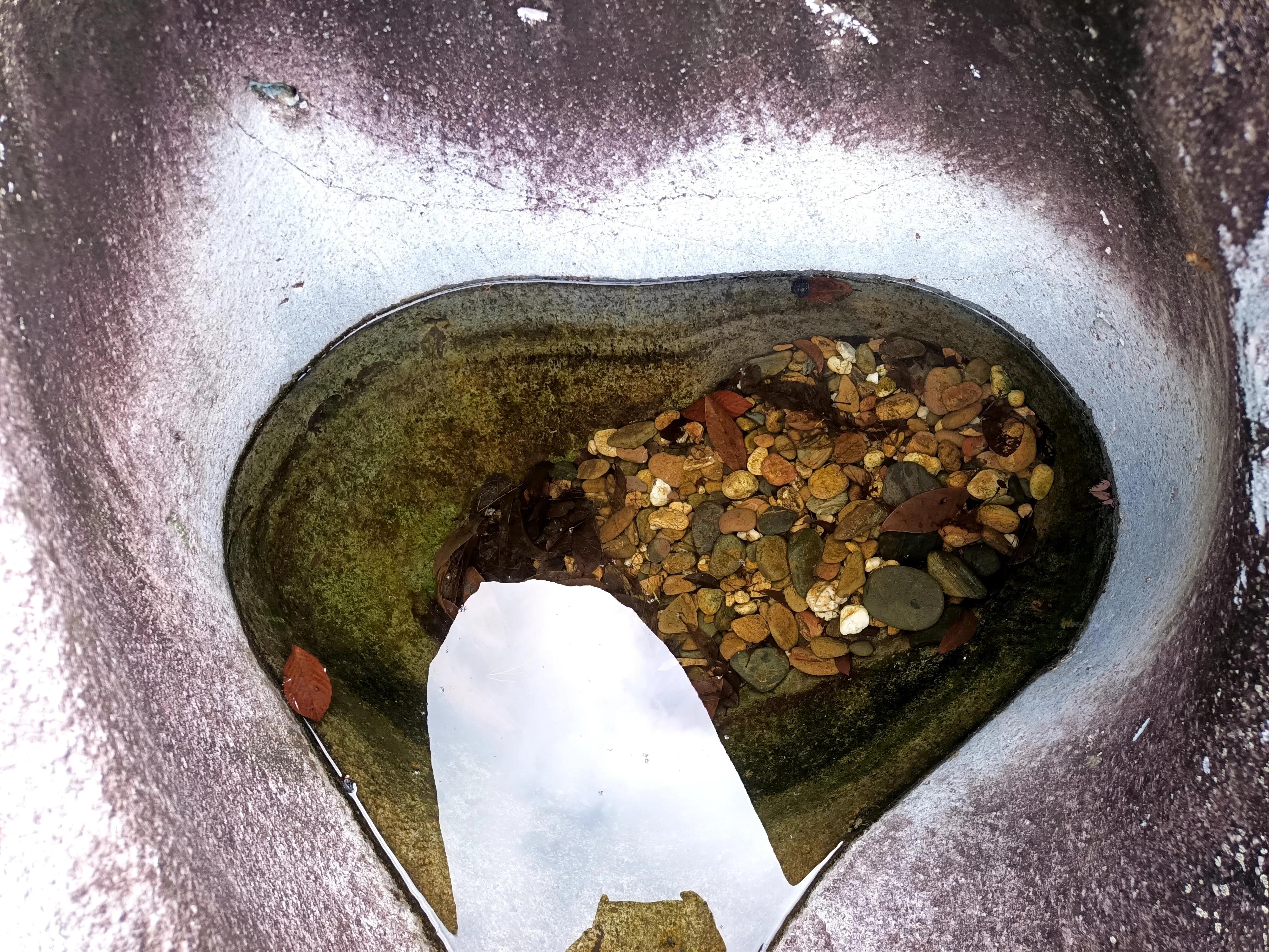 情人谷深圳,深圳情人谷绝情谷