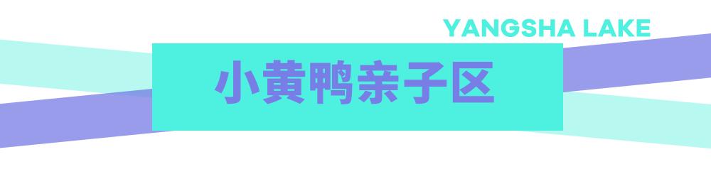 洋沙湖水世界,洋沙湖欢乐水世界什么时候开业
