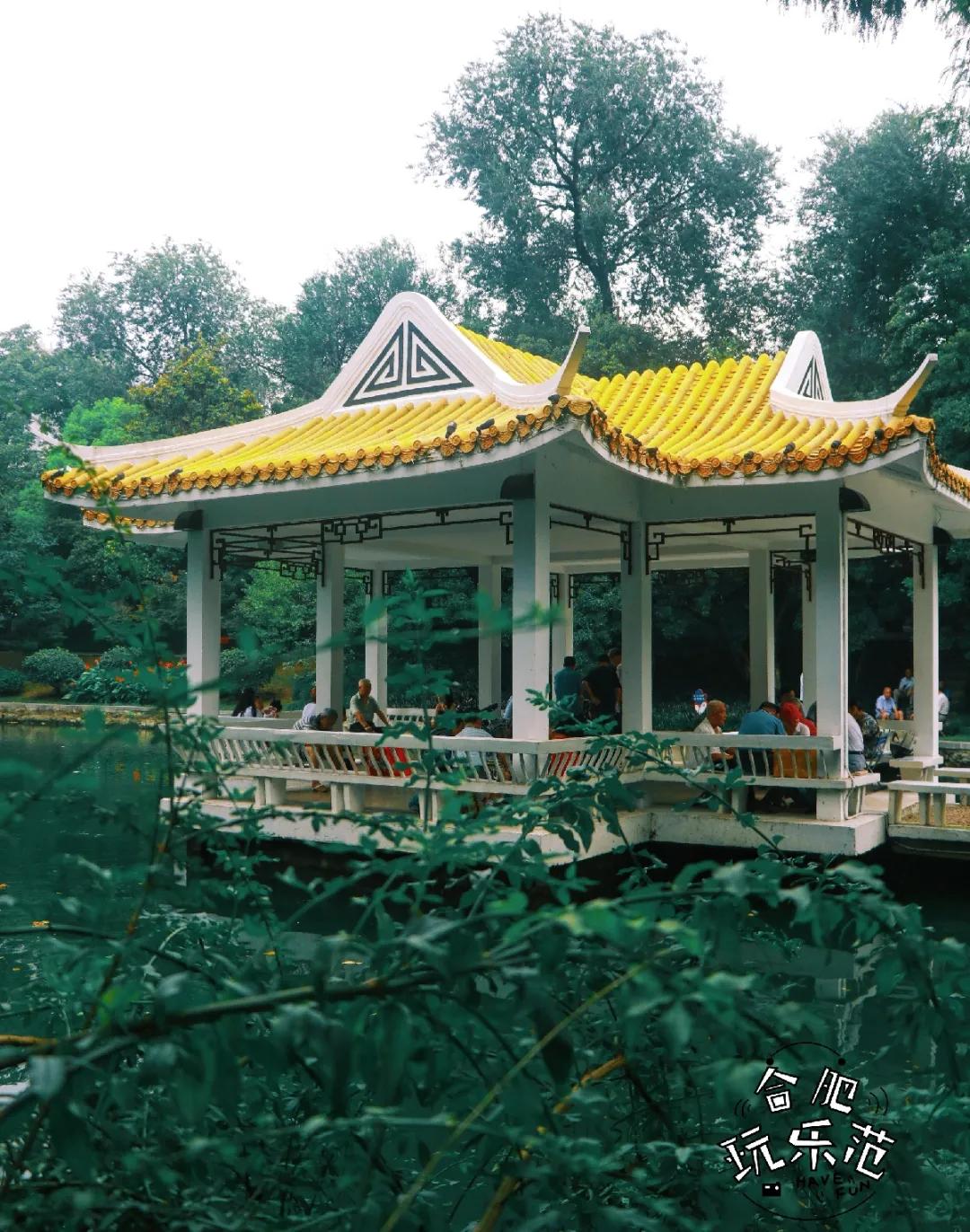 观银河,看银河听风吟的视频