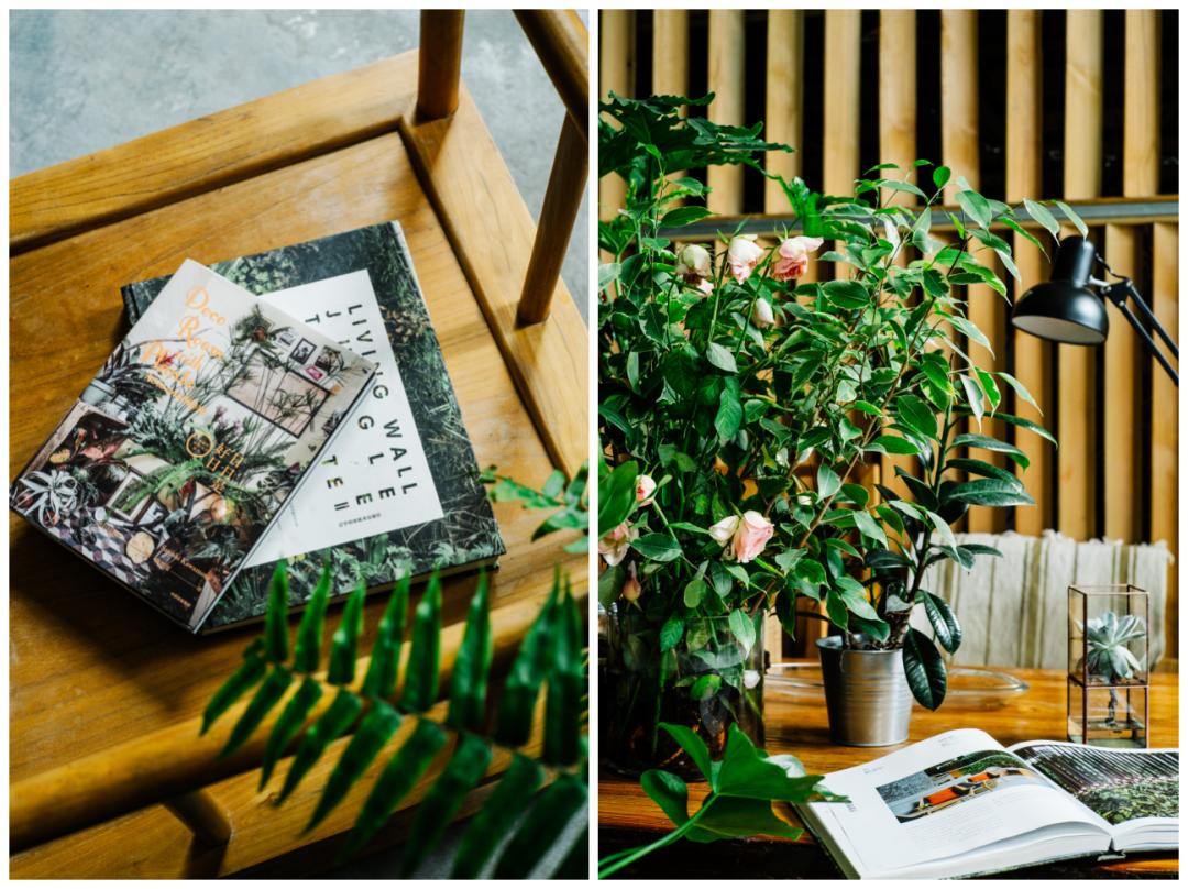 老实说，哥哥们爱起花草来，更疯狂