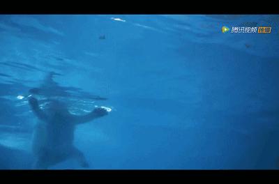 周星驰赵薇光头,赵薇周星驰完整视频