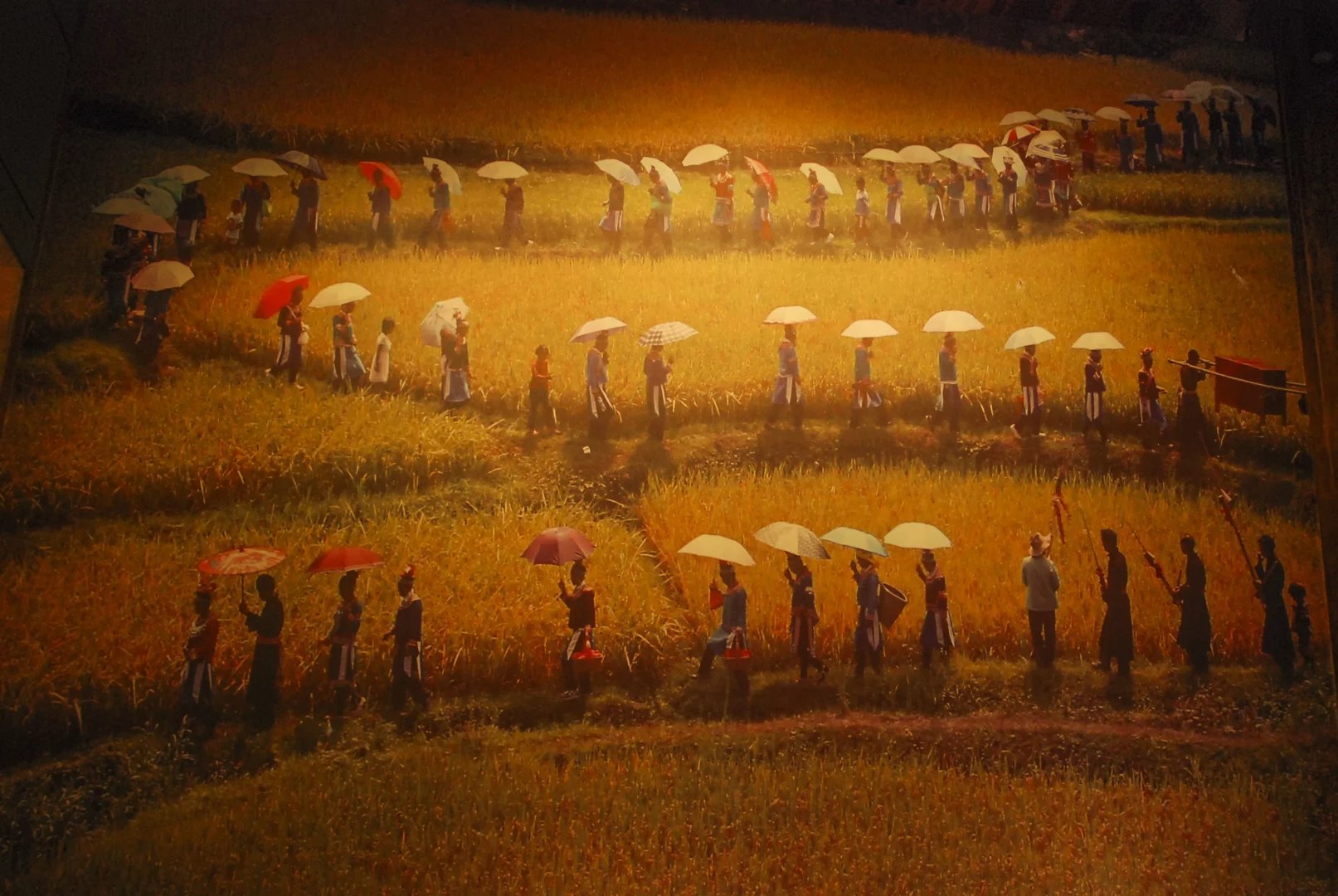 80多岁老人家眼睛看不清,80岁老人眼睛看东西雾蒙蒙