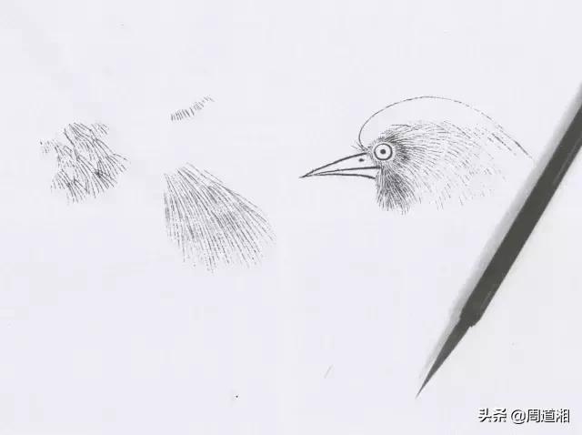 勾线笔每个型号的用处,最常用的勾线笔