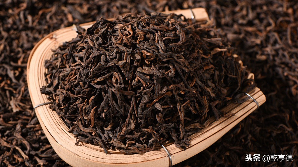 古树普洱茶山头排名,古树普洱生意好吗