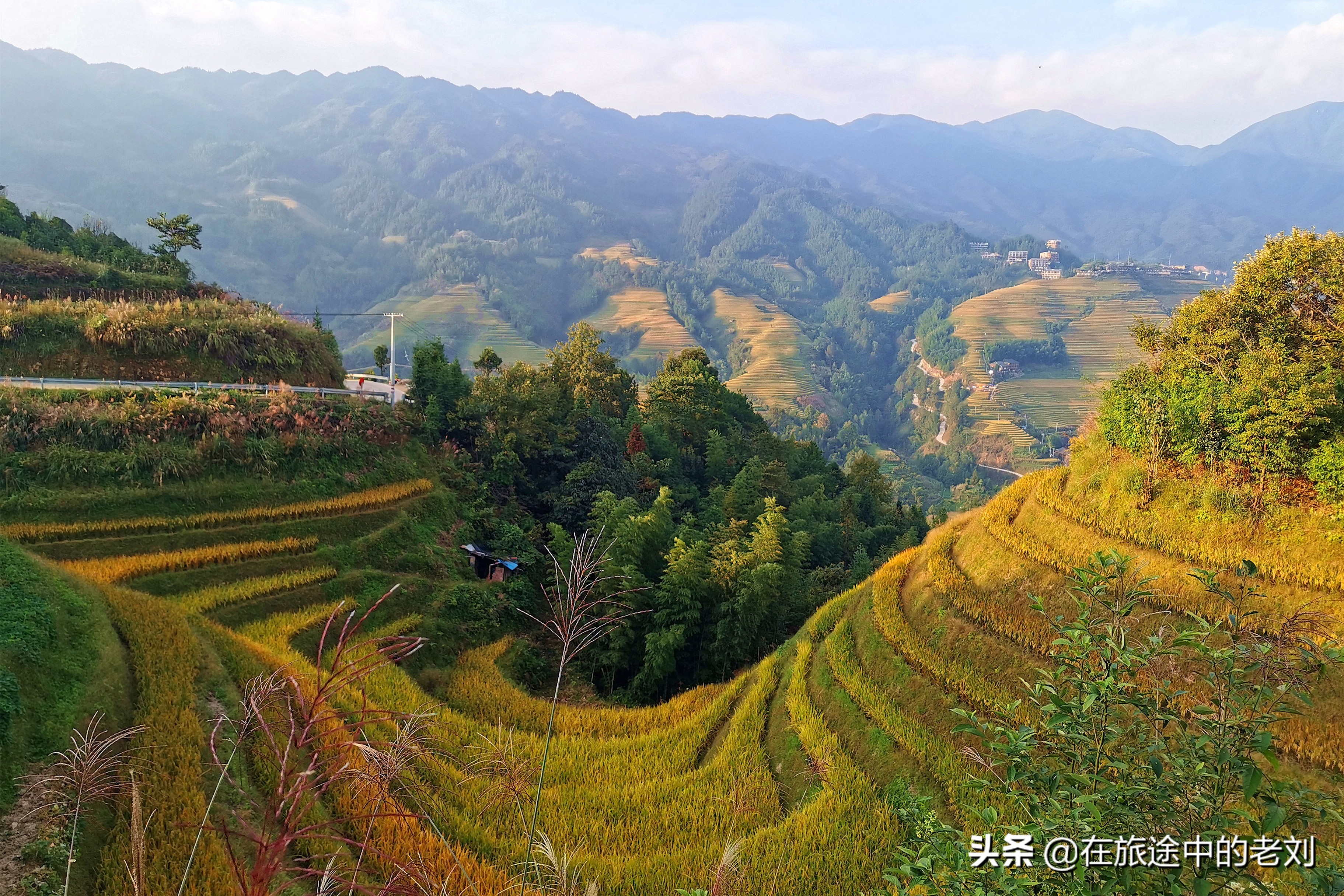 远赴龙脊大寨梯田,追逐今年最后的金黄——桂林七天游1