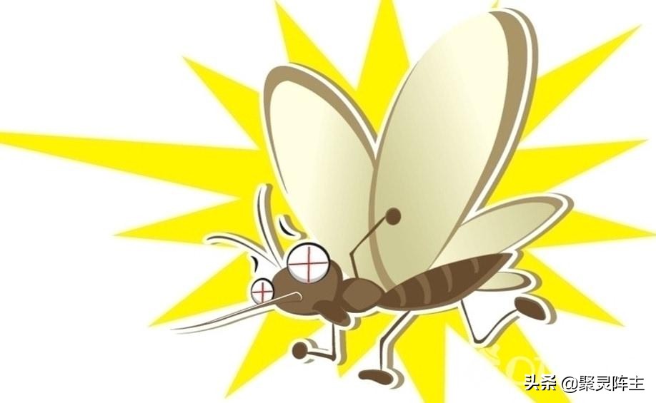 驱蚊产品怎么防蚊,哪种驱蚊产品的效果好且无害