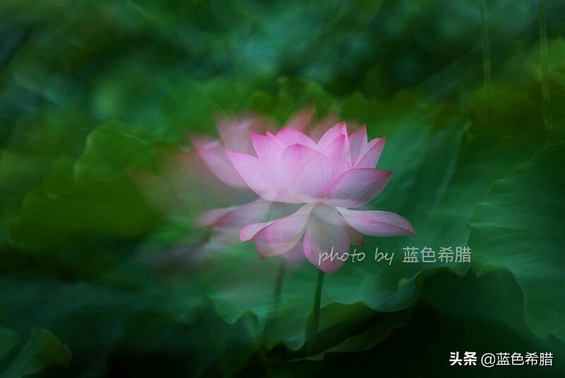 佳能5d3能拍多少数量照片,佳能5d3有多重曝光拍摄技巧