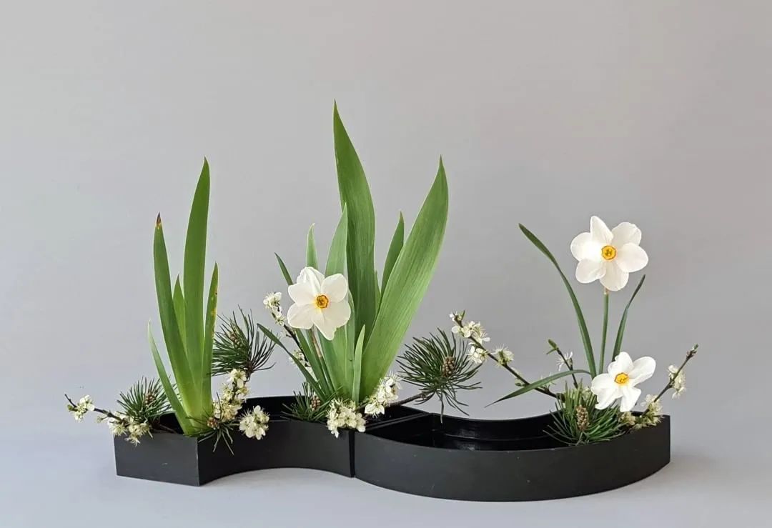 带你了解世界每一个角落,八大花艺流派