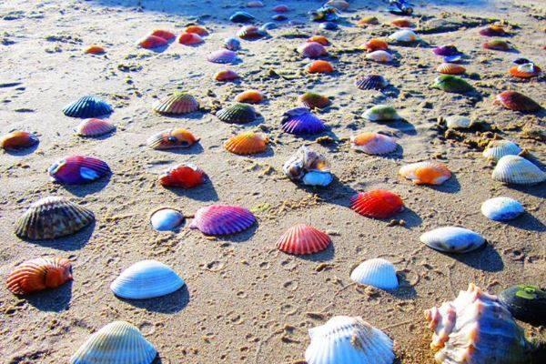 黄金海岸波光粼粼，这片沙滩美得让人窒息