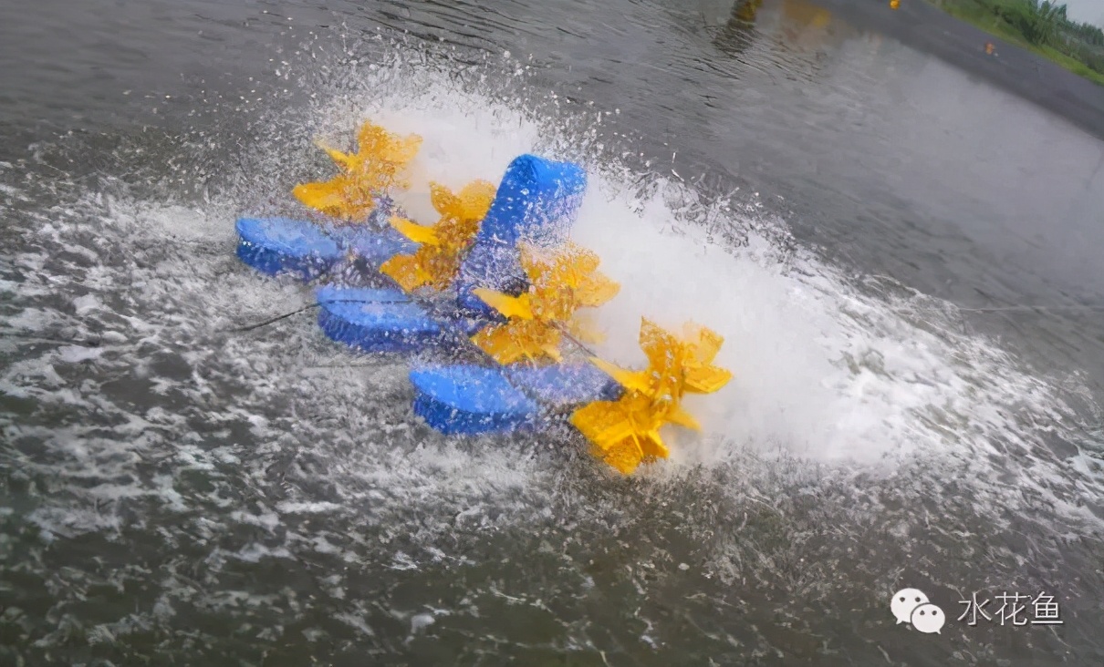 鱼塘开增氧机水就浑浊怎么解决,鱼塘增氧机能改善水质吗