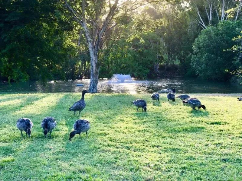 top50的昆士兰大学,昆士兰大学值得读吗