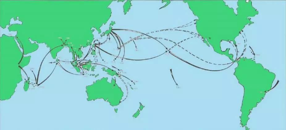连中国吃货都解决不了的入侵生物，这种非洲巨型蜗牛如何入侵全球
