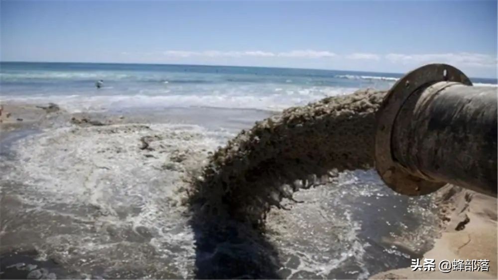 *污染核**有多恐怖？排放入海后海鲜销路难，日本政府拟花钱购买