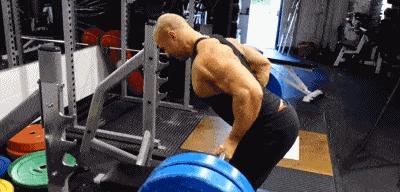 背部训练健身体式动作图解,健身背部训练背背佳