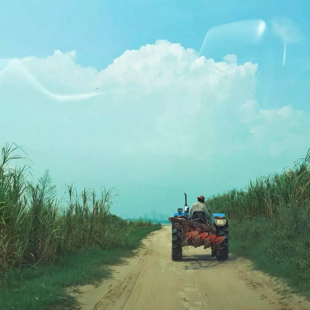 武汉免费一日游打卡,武汉旅游必去打卡十大景点