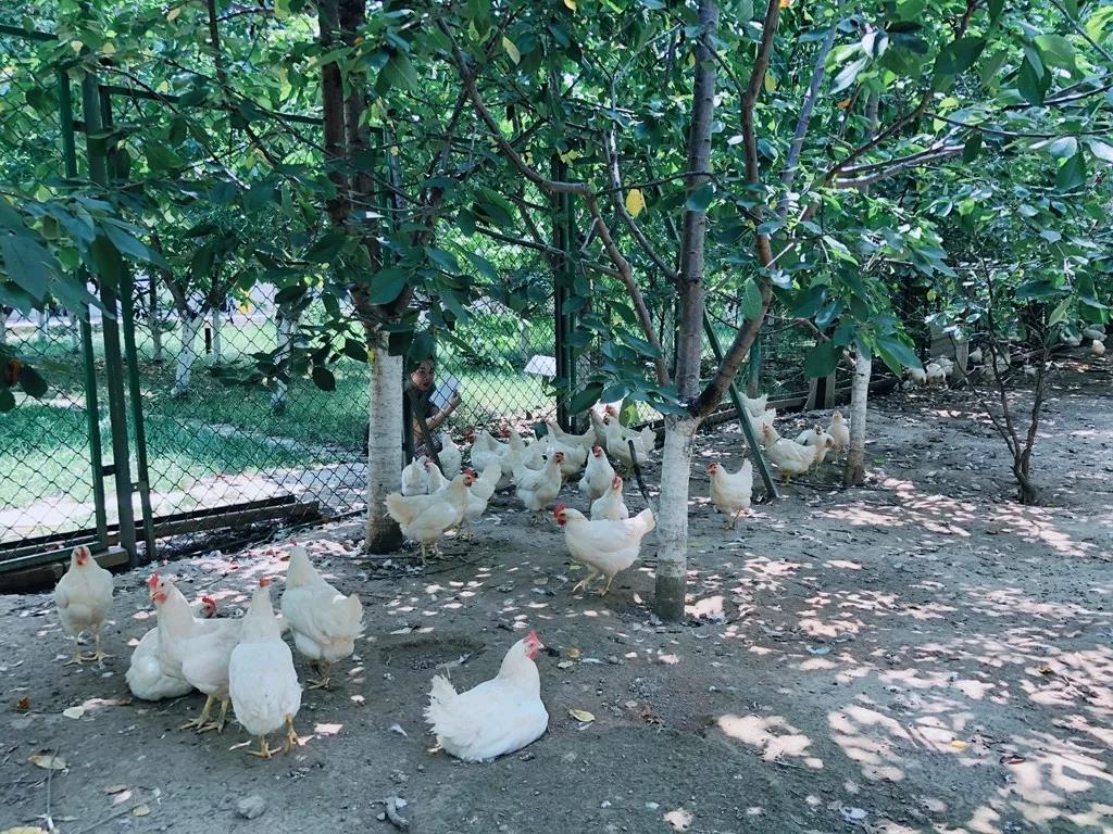 西安秦岭温泉度假山庄,西安桃花源休闲山庄