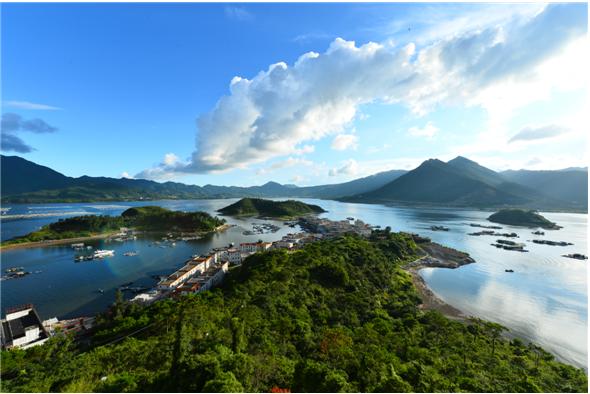 是鸡腿还是鸡肋，权威解析大亚湾（连载二）