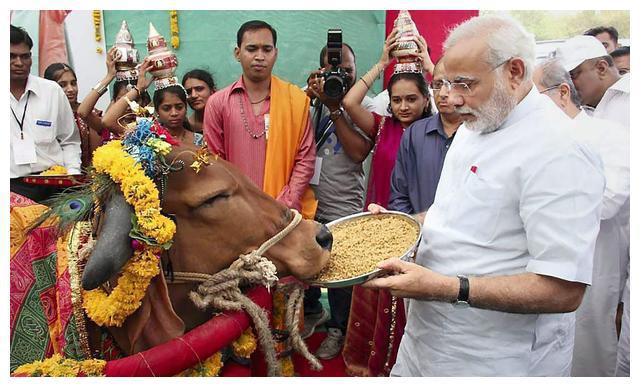 印度饮牛尿的历史探究,最古老的印度医学经典