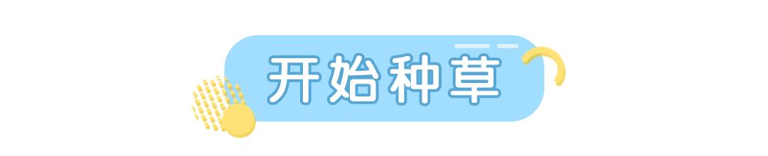 杨幂和沈梦辰谁大一些,杨幂沈梦辰谁美