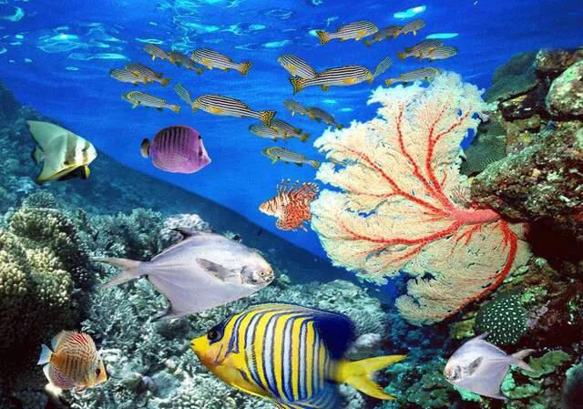 深圳暑假推荐地方,深圳适合高中生参观的地方