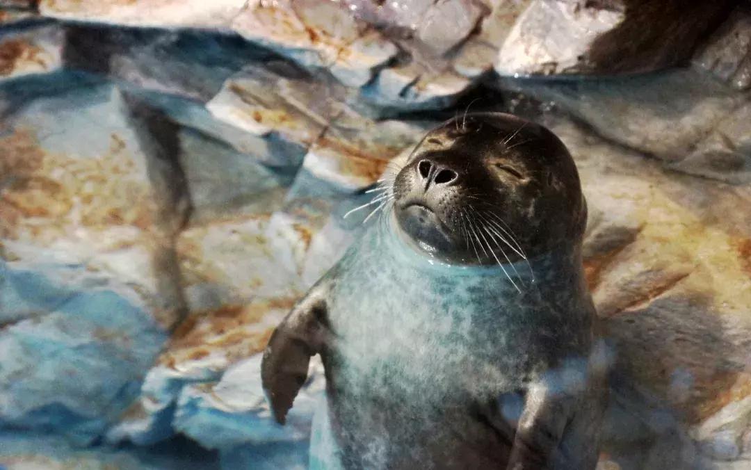 8小时睡眠论是真是假,8小时睡眠论可能是错的总结