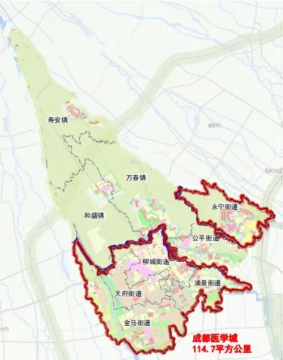 温江金马未来的发展,温江金马与永宁哪个未来发展好